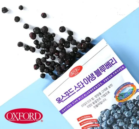 [오스타팜] 블루베리 동결건조 과일칩