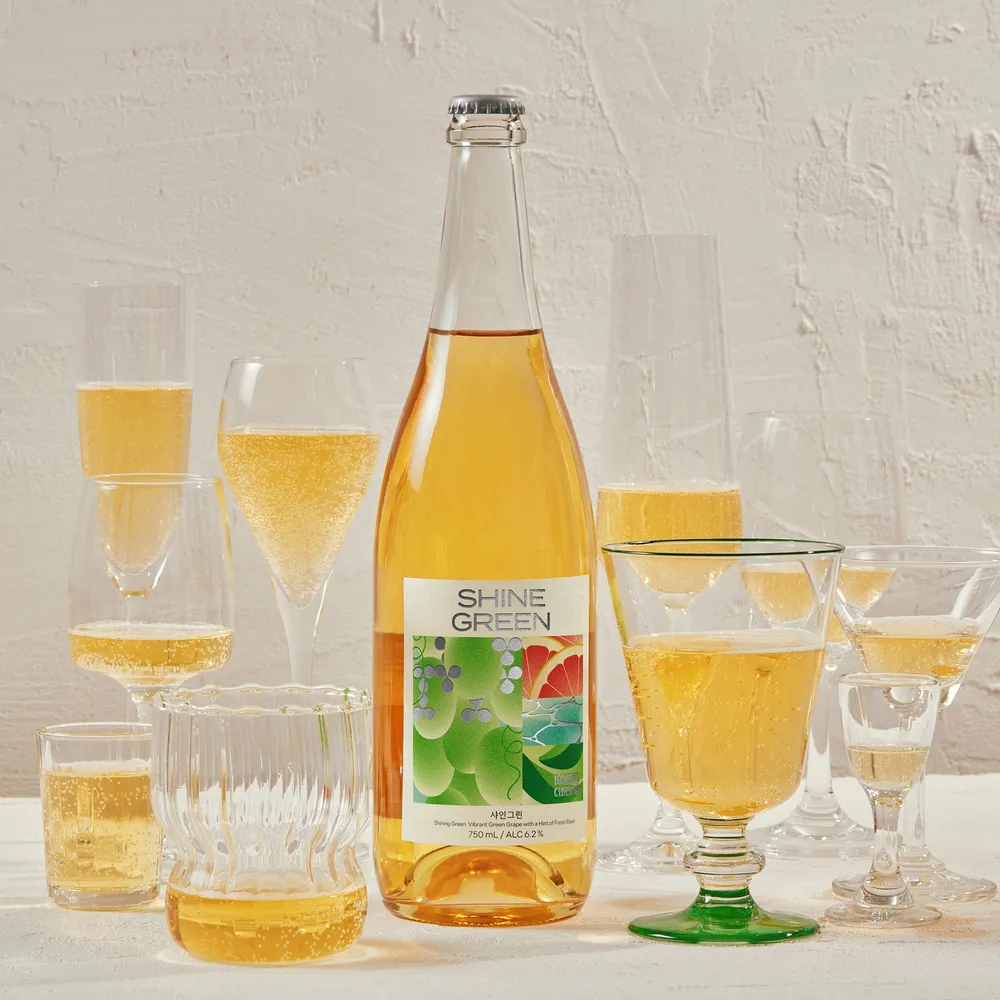 [릴스][댄싱사이더] 샤인그린