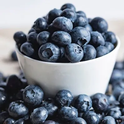 [물고기삼촌] 블루베리