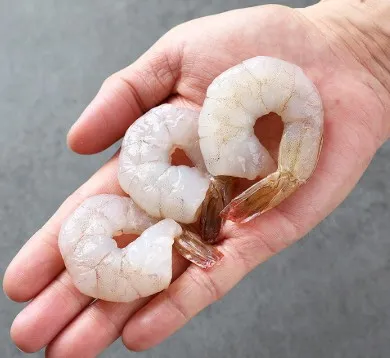 [물고기삼촌] 칵테일새우