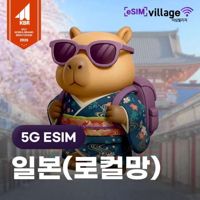 일본 E-SIM 5G로컬망