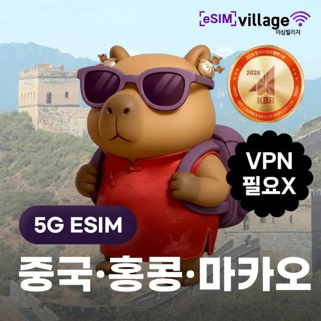 중국 E-SIM 5G로컬망
