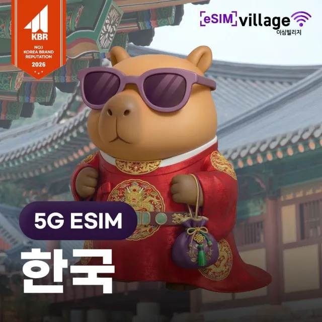 [eSIMvillage] 한국 E-SIM SKT